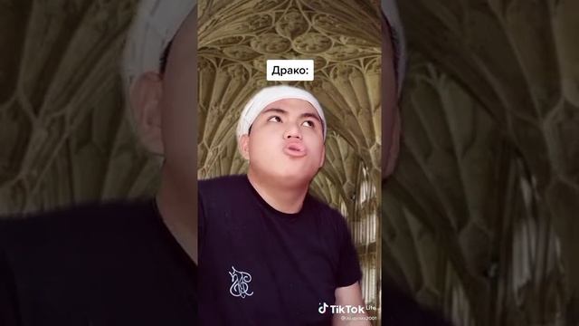 Гарри Поттер и тУаЛеТнАя комната! TIK TOK LITE смотреть онлайн