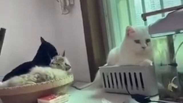 Жизнь несправедлива смотреть онлайн