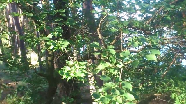 Отдых на Старом Салтове 2020 Часть 1 смотреть онлайн