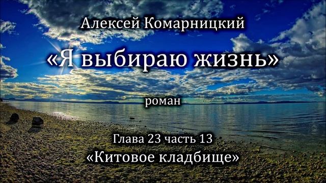 Алексей Комарницкий "Я выбираю жизнь" глава 23 часть 13 смотреть онлайн