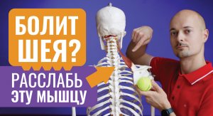 БОЛИТ ШЕЯ? Расслабь мышцу поднимающую лопатку | Самомассаж шеи | Йога для шеи