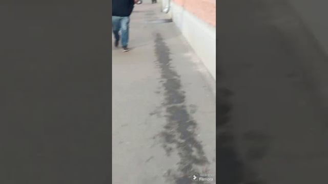 Поехала в Сеченова смотреть онлайн