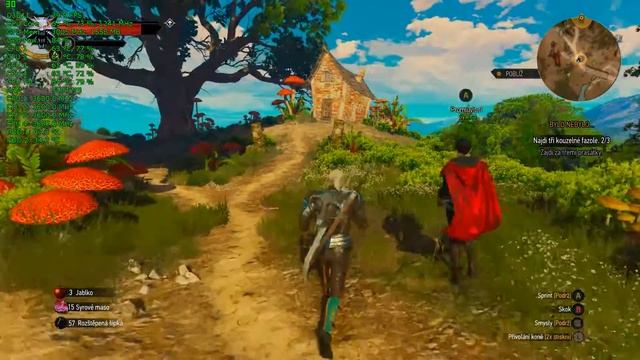 The Witcher 3 gameplay PC HD - GTX 670 смотреть онлайн