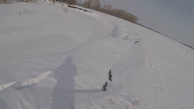 Охота с Русскими пегими гончими на зайца #27