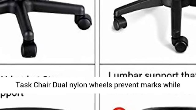 Armless Task Office Chair,MOLENTS Small Desk Chair with Mesh Lumbar Support,Ergonomic Computer Chai