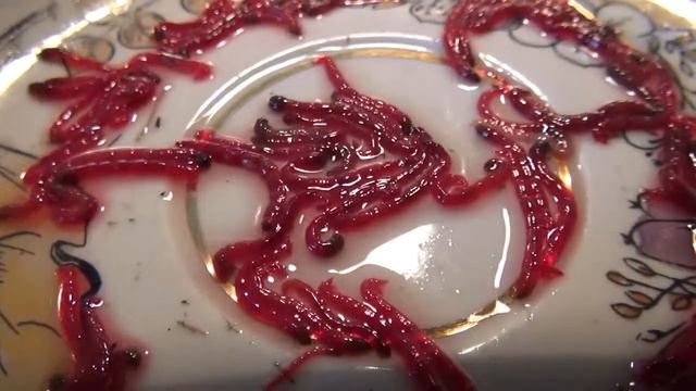 Монстры и Валентинки (Monsters and Valentine) смотреть онлайн