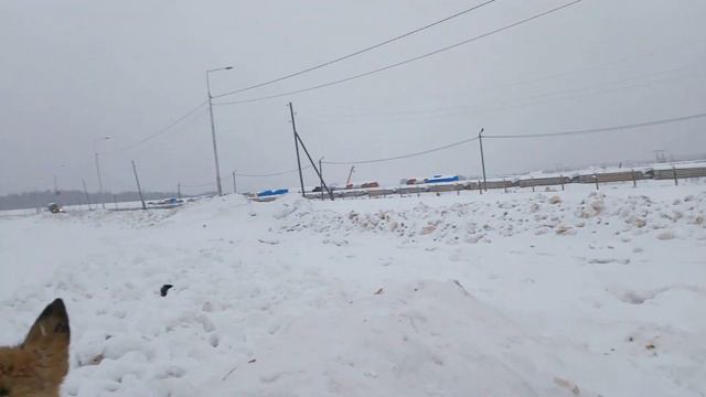 ВОССТАНОВЛИВАЕМ ИГЛУ (БЫЛО ТЯЖЕЛО) смотреть онлайн