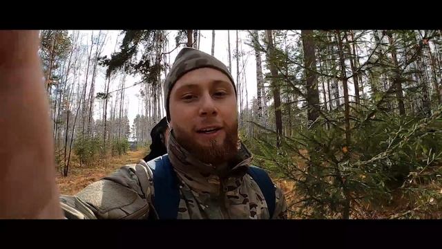 ВЫГУЛИВАЕМ АЛАБАЕВ В ЛЕСУ БЕЗ ПОВОДКА \ ПОСЛУШНЫЙ АЛАБАЙ смотреть онлайн