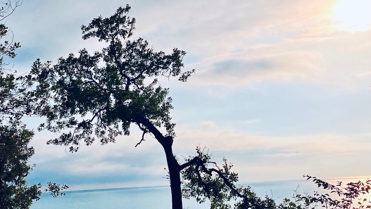 Опять едем в Абхазию. Какой курорт выбрать_ смотреть онлайн