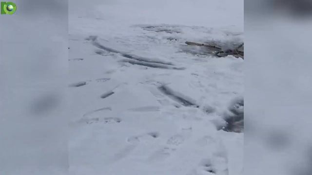 Аэрация пруда зимой | Компрессор для пруда Hiblow Hp 200 | Аэратор для пруда Matala Mdb11 | Юниакс