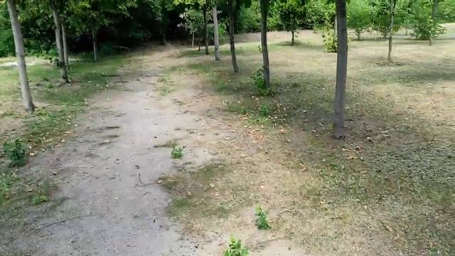 ОТДЫХ НА ГОЛУБОМ ОЗЕРЕ ??? смотреть онлайн