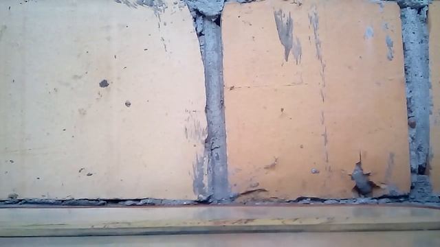 Лизун-рука !!! смотреть онлайн