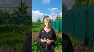 На каком расстоянии от соседа сажать яблони? Ответ здесь!