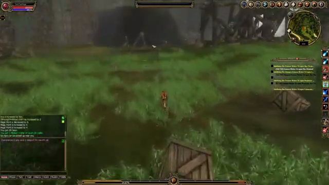 Kalonline Test Server lvl 1 fresh start gameplay ( part 4 - lvl 27-32) смотреть онлайн