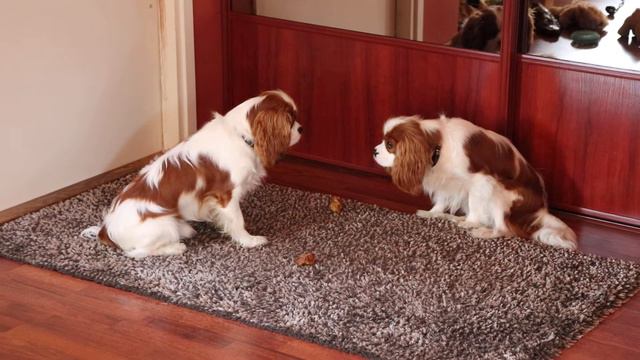 Противостояние 2