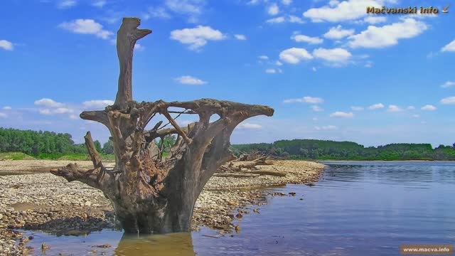 Reka Drina Crna Bara, čudesa I Belaj Baje Sa Reke.