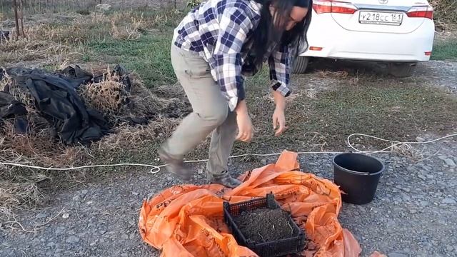 Делаю отбор земли и воды для анализов. Как правильно это сделать смотреть онлайн