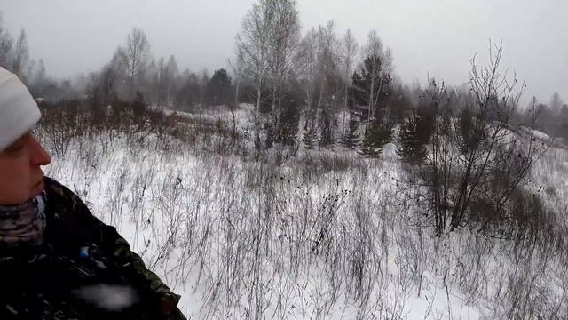 ДерЗкий ЗаЯц ИнноКентиЙ, бросает вызов ВассеРману, охота на зайца, коллективная охота на зайца. 4К смотреть онлайн