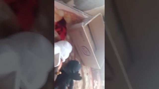 лицо камера титана чесеч 13 скибиди туалетах смотреть онлайн