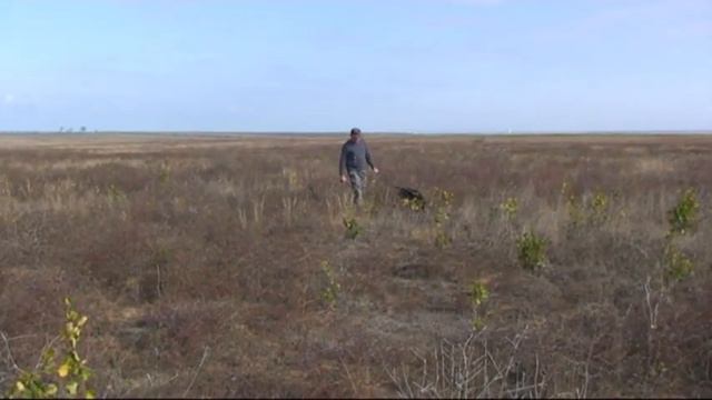 127. (55) 12 ч. 27 мин. 25 октября 2012 г. смотреть онлайн