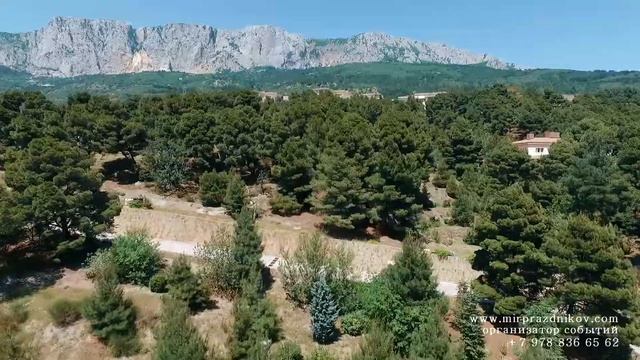 Весенняя свадьба в Крыму от агентства SHTEINGROUP для Кати и Максима 8 978 836 65 62 смотреть онлайн