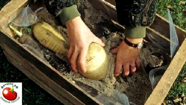 Что можно сажать уже в апреле? смотреть онлайн