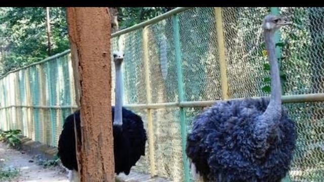 RANCHI CITY AMAZING FACTS | RANCHI JHARKHAND | HISTORY OF RANCHI | BIRSA MUNDA AIRPORT | RANCHI |