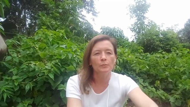 3 ГОДА БЕЗ МЯСА/ЧТО СЛУЧИЛОСЬ?/МОЙ ОПЫТ