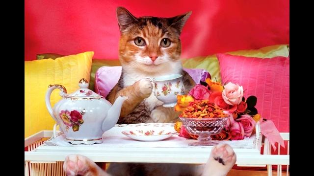 Кушай Чай (ЧиллМузяка) смотреть онлайн
