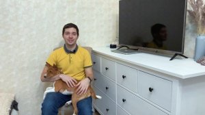 Басенджи 1 год или африканский молчун в снегах | Basenji 1 year old