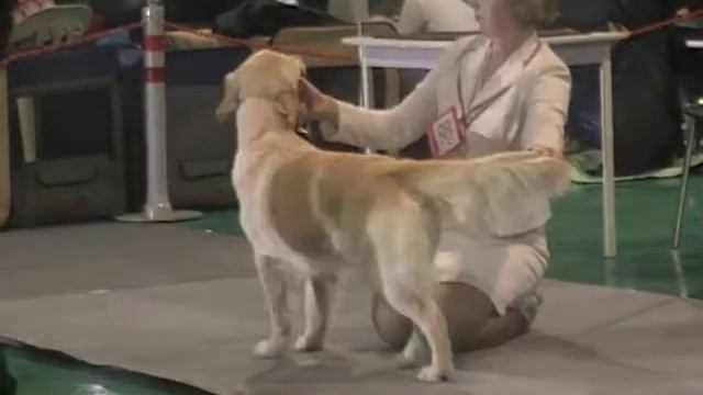 Лучший Юниор