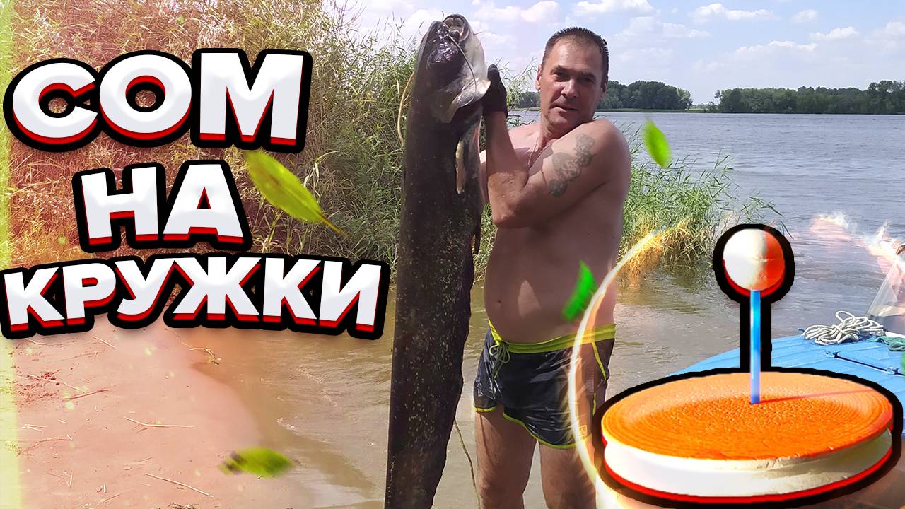 СОМ НА ПОСТАВУШКИ НА ВОЛГЕ В САРАТОВСКОЙ ОБЛАСТИ