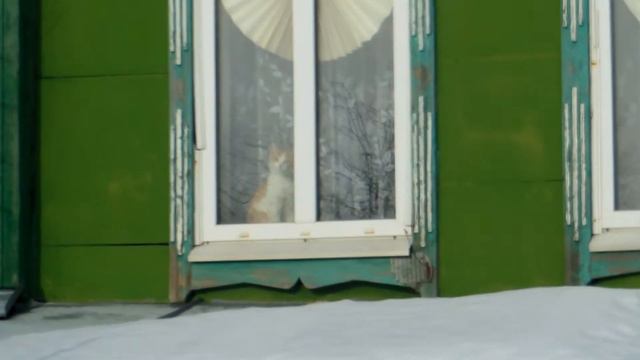 с. Чаадаевка - мороз и ветер день чудесный смотреть онлайн