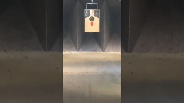 Colt Python .357 Magnum at 25 Yards смотреть онлайн