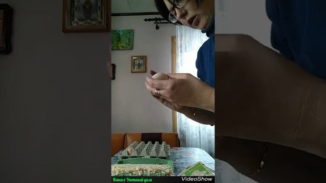 Инкуб. Яйцо почтой ЕМС. Получила посылку. смотреть онлайн