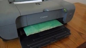 pint canon ip3300 5