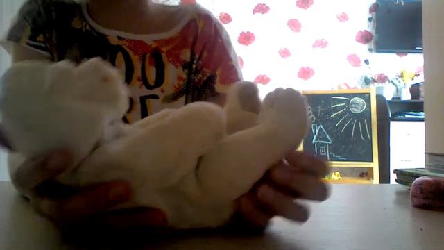 Новый персонаж из мимимишек? смотреть онлайн