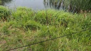 РЫБАЛКА НА ЭКРАНЫ В ЖАРУ. Наловил кучу крупной рыбы.