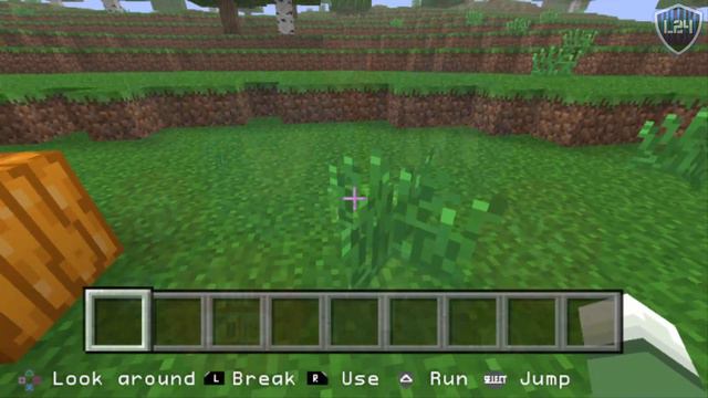 Texturas de Minecraft Java para Minecraft PSP 2.2.5 | luigi2498 смотреть онлайн