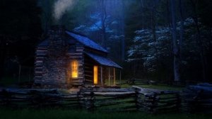 Пение соловья | лес | сверчки | звуки природы | атмосфера | асмр | медитация | заставка | фон