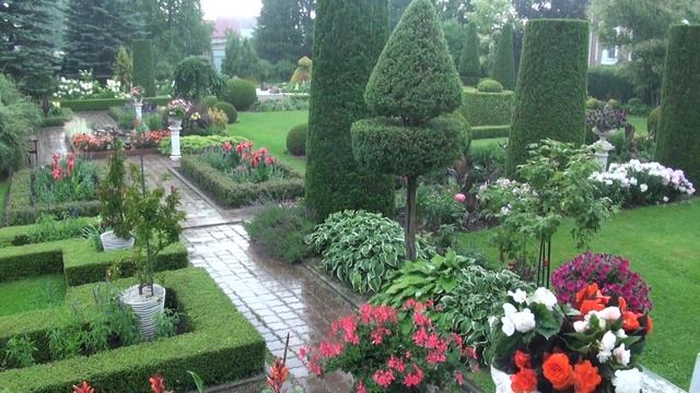 Сад Н Дементьева Август 2020 дожди, дожди, дожди смотреть онлайн