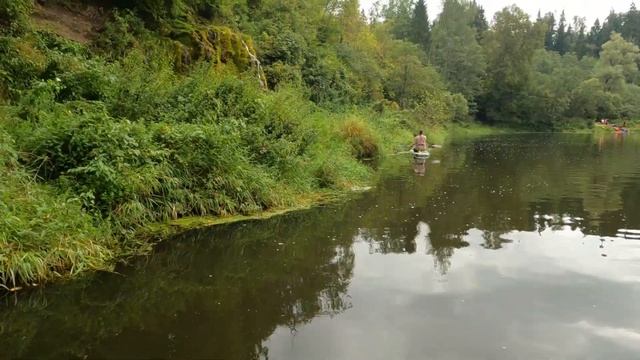 FreeSup и Sup Travel Kolomna р. Протва