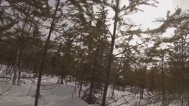 В поисках глухариного тока на снегоходе варяг в Коми смотреть онлайн
