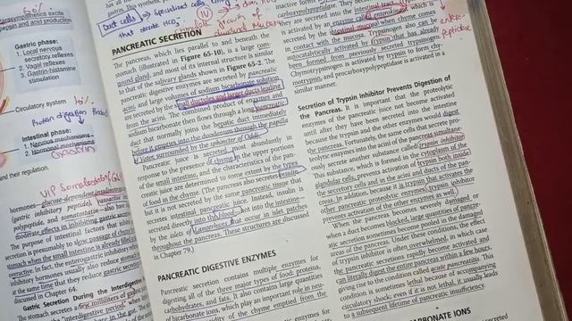 Guyton chapter 65 revision || secretory function of GIT || gastrointestinal physiology смотреть онлайн
