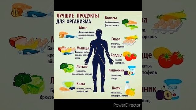 Лучшие продукты для организма