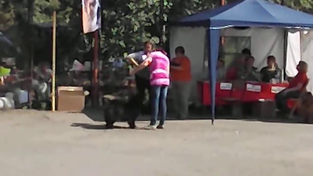 DSCF2205 смотреть онлайн