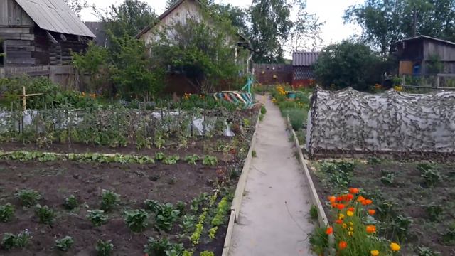 Наша дача май 2017 .Канск#садовыемаки#чудогрядки#сибирь#сад# смотреть онлайн