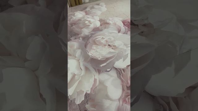 PRIMAVERA Фотообои на стену флизелиновые "Пионы 3D" 440*270 см. Артикул для покупки на ОЗОН50608976 смотреть онлайн