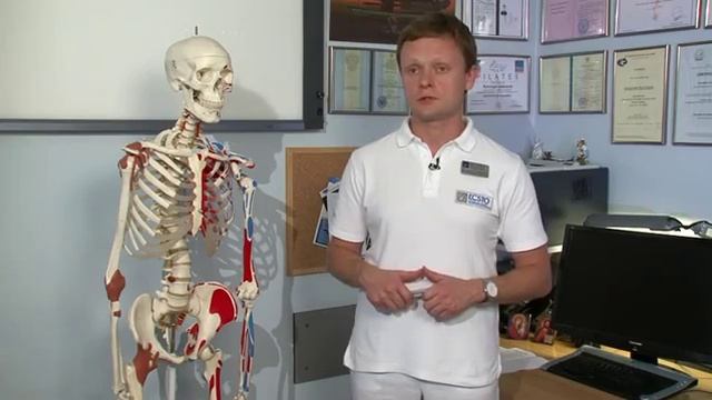 Протезирование тазобедренного сустава, программа реабилитации смотреть онлайн