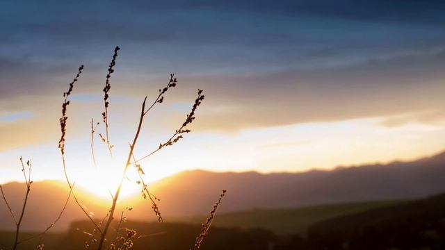 Медитация "Замена убеждений". Ольга Кизикина. Тета Среда смотреть онлайн